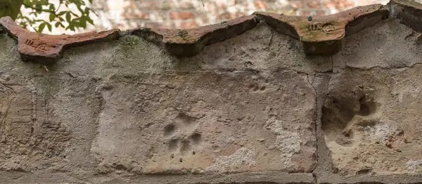 Animal print on a brick wall in baker corridor in luebeck — Stock Photo, Image