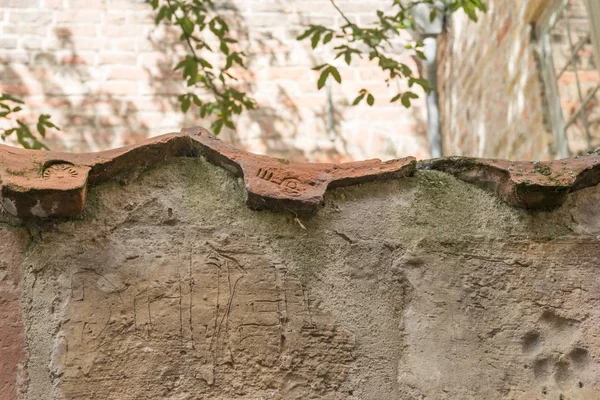 Animal print on a brick wall in baker corridor in luebeck — Stock Photo, Image