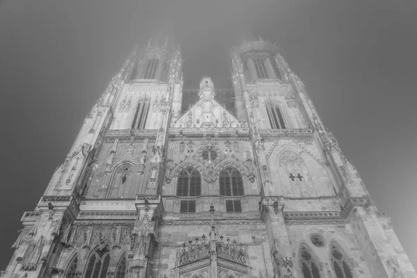 Night shot of the Regensburg Cathedral St. Peter with fog — Stock Photo, Image