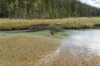 Bir dağ dere temiz su