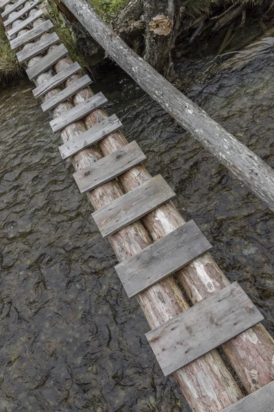 树干桥梁在溪 — 图库照片
