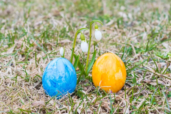 Coloridos huevos de Pascua frente a la flor blanca de la gota de nieve —  Fotos de Stock