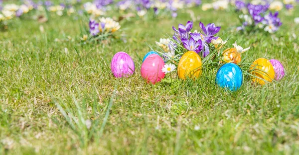 Easter egg on grass with beautiful flowers — Stock Photo, Image