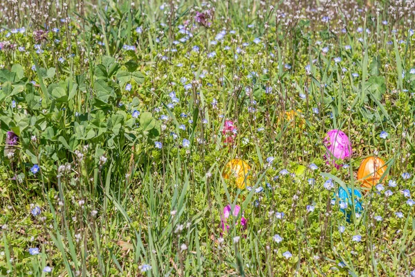 Œuf de Pâques sur herbe avec de belles fleurs — Photo