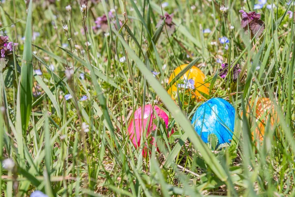 Easter egg on grass with beautiful flowers — Stock Photo, Image