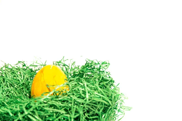 Ovo de Páscoa em um ninho de Páscoa feito de grama verde e fundo branco — Fotografia de Stock