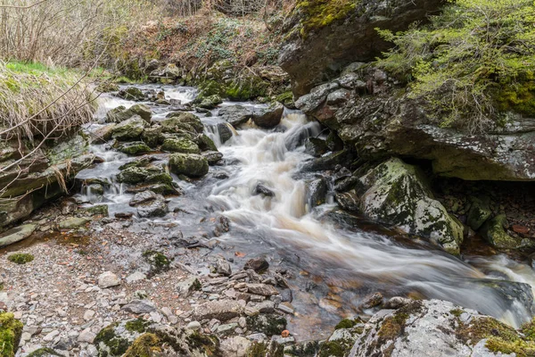 Flume a Spiegelau nella foresta bavarese — Foto Stock