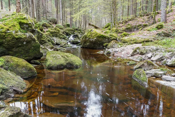 FLUME i Spiegelau i den bayerska skogen — Stockfoto