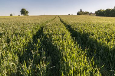 buğday alan Traktör parçaları ile