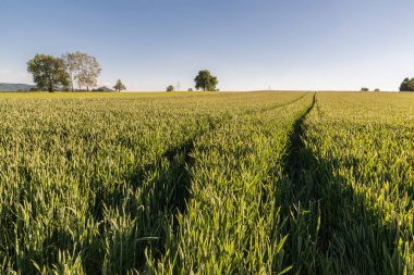 buğday alan Traktör parçaları ile