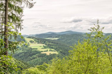 Bahar peyzaj manzaralı panorama Bavyera Ormanı