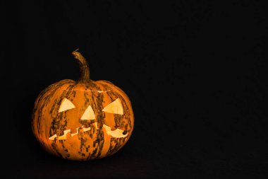 Cadılar Bayramı Balkabağı siyah arka plan önünde