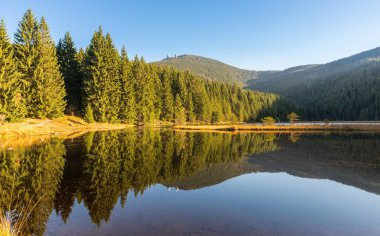 Küçük Arber göl sonbahar, Bavyera, Almanya