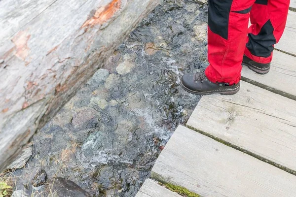 Hiking boots on tree trunk bridge over a creek