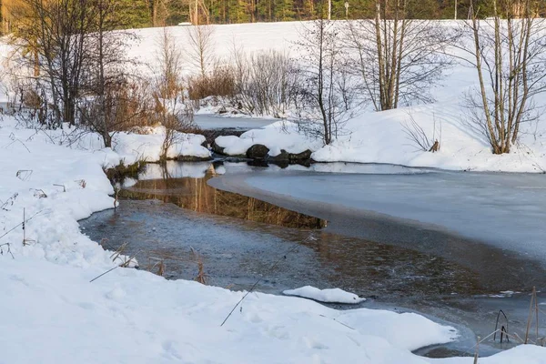 Jardins Spa Spiegelau Inverno Floresta Baviera Alemanha — Fotografia de Stock