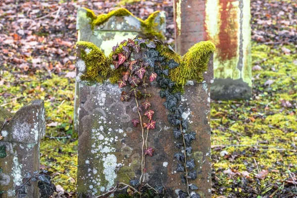 Antigo Cemitério Judaico Com Lápides Intemperizadas Alemanha — Fotografia de Stock