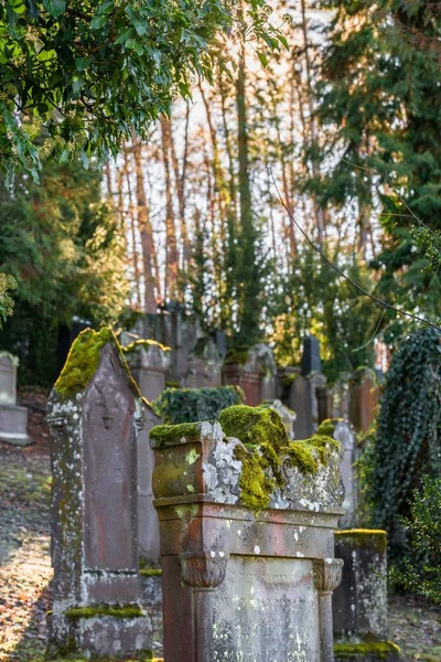 Stary Cmentarz Żydowski Wyblakły Nagrobków Niemcy — Zdjęcie stockowe