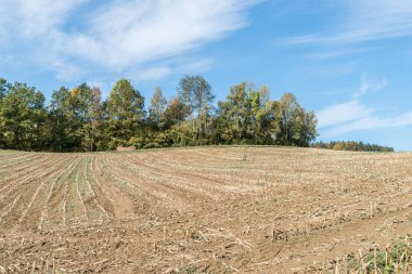 Alanlar ve çayırlar Bavarian Forest, Almanya için