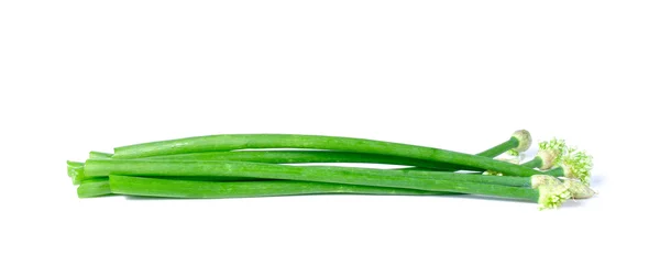 Leeks close up on white — Stock Photo, Image