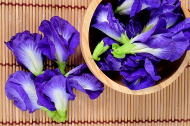 Mavi bezelye kelebek bezelye arka plan