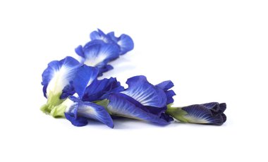 Mavi bezelye kelebek bezelye kapatın arka plan