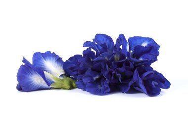 Mavi bezelye kelebek bezelye kapatın arka plan