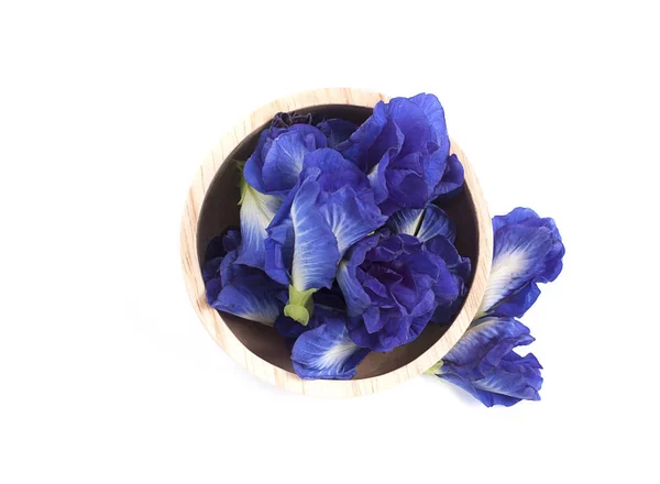 Blue pea butterfly pea close up background — Stock Photo, Image