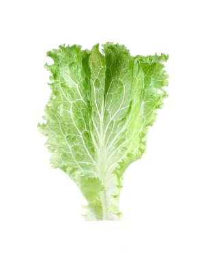 salata yaprakları kadar izole üzerinde beyaz adam kapatın