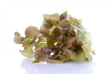 salata yaprakları kadar izole üzerinde beyaz adam kapatın