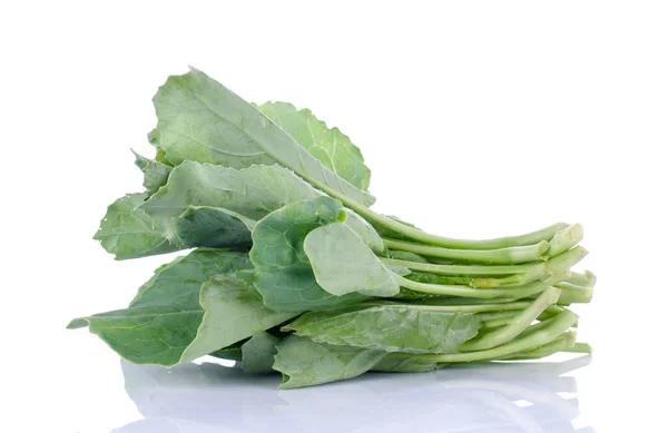 Chinese kale vegetable on white backgroun — Stock Photo, Image