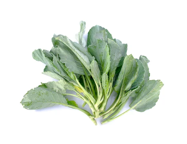 Chinese kale vegetable on white backgroun — Stock Photo, Image