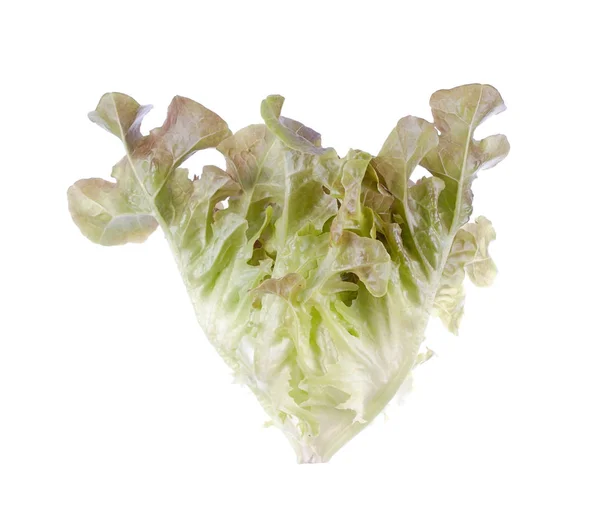 Salads leaves close up isolated on white backgroun — Stock Photo, Image