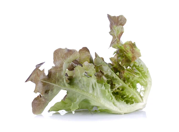 Saláty listí zblízka izolované na bílém poza — Stock fotografie