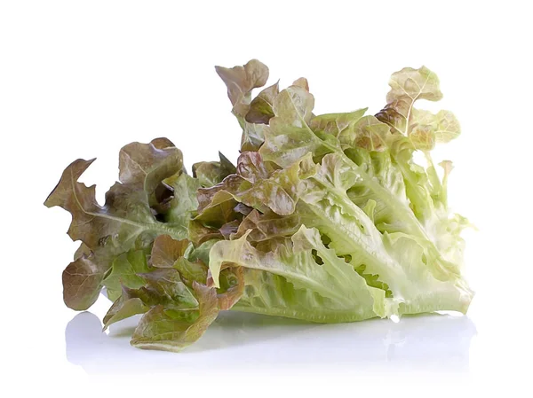 Folhas de saladas fechar isolado no backgroun branco — Fotografia de Stock
