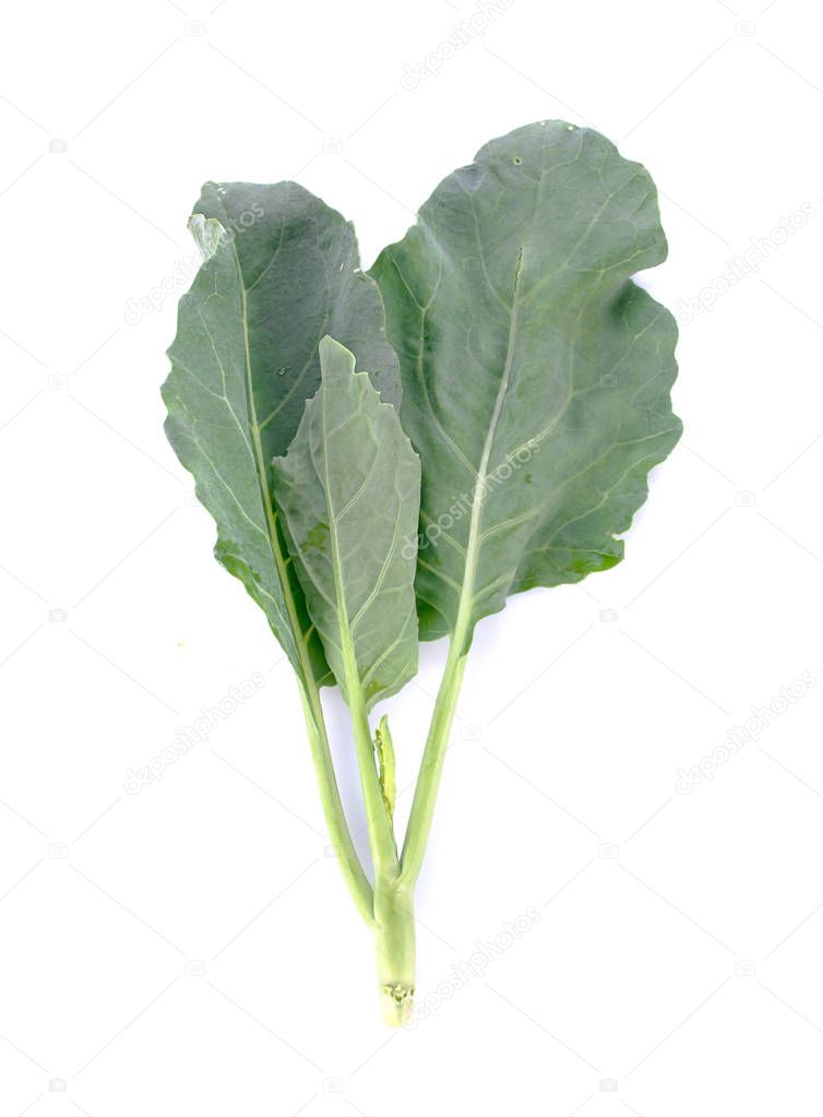 Chinese kale vegetable on white backgroun