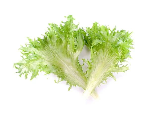 Leaf lettuce close up on white. — Stock Photo, Image