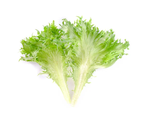 Leaf lettuce close up on white. — Stock Photo, Image