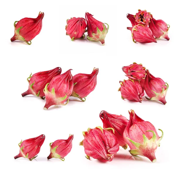 Roselle beyaz arkaplanda izole edildi