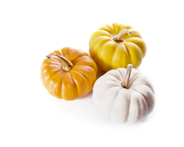 Pumpkins close up isolated on white. — Stock Photo, Image