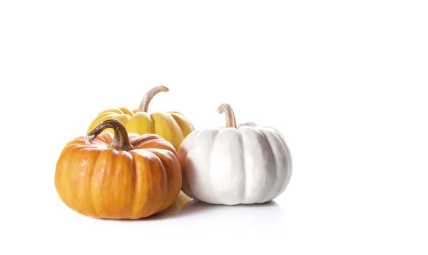 kabak üzerine beyaz izole yakın çekim.