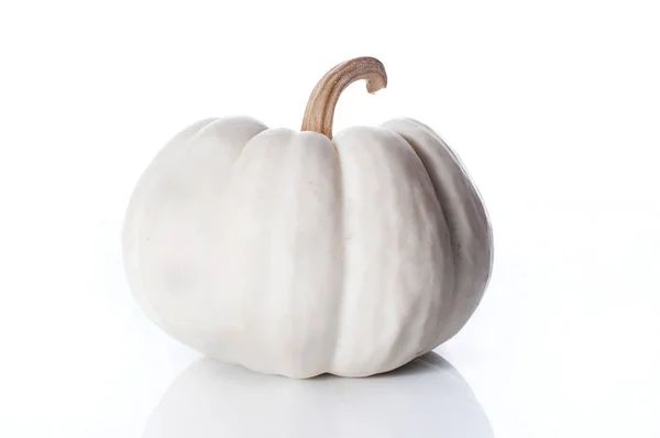 kabak üzerine beyaz izole yakın çekim