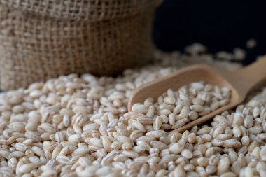 arpa buğday tohumu zemin üzerine inciler