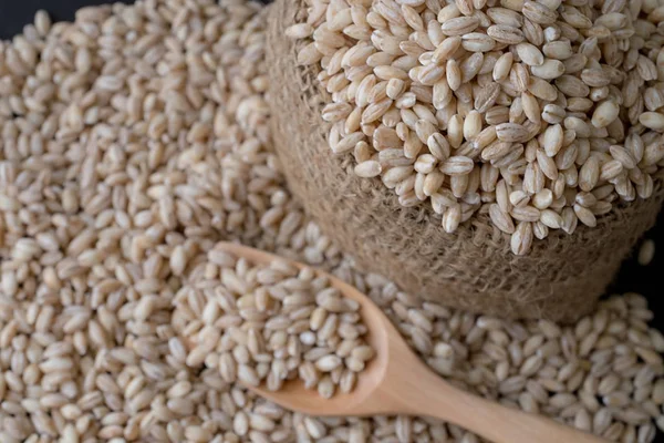 Pearls barley grain seed on background — Stock Photo, Image