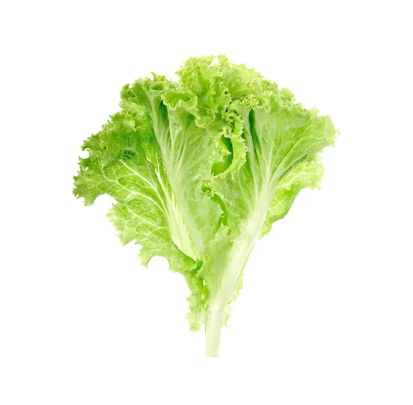 Salads leaves close up isolated on white background — Stock Photo, Image