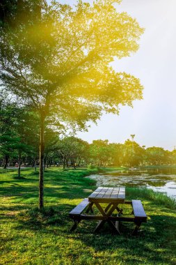 Tablo arka plan üzerinde park doğada