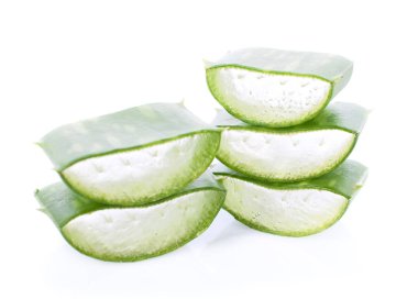 Aloe Vera beyaz arka grupta izole edilmiş.