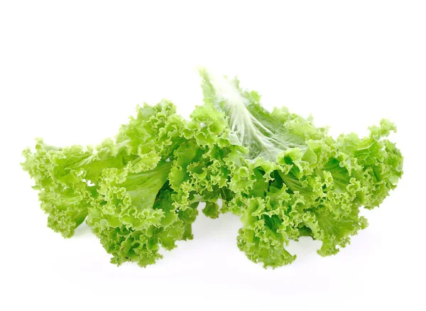 Folhas de saladas close-up isolado no fundo branco — Fotografia de Stock