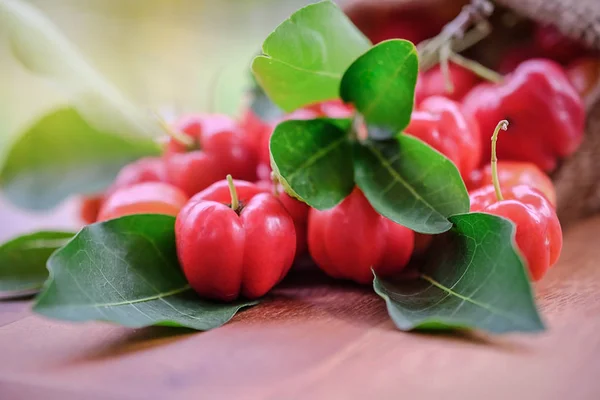 Acerola plody zblízka na poza — Stock fotografie