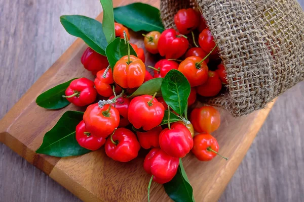 Acerola plody zblízka na poza — Stock fotografie