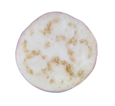 izole üzerinde beyaz arka plan kadar yumurta tesisleri kapatmak.